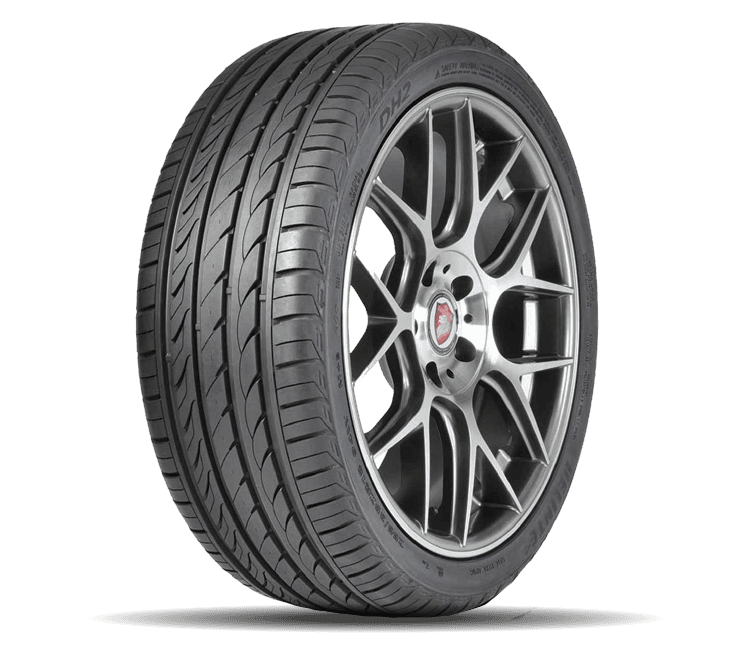 DELINTE  DH2 - 195/55 R15